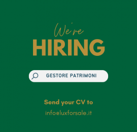 ricerca-personale-----official-partner-luxforsale--3-.png