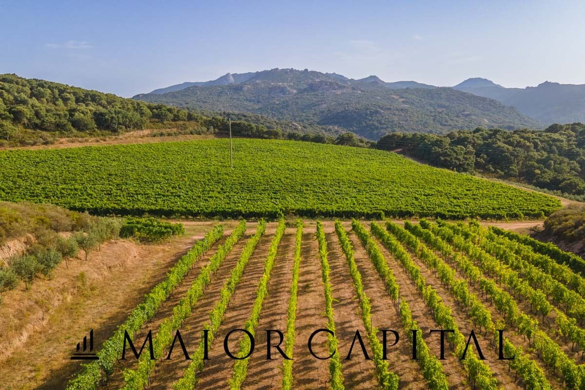 For sale terrain in quiet zone Sant´Antonio di Gallura Sardegna