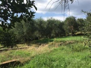 For sale cottage in quiet zone Terricciola Toscana