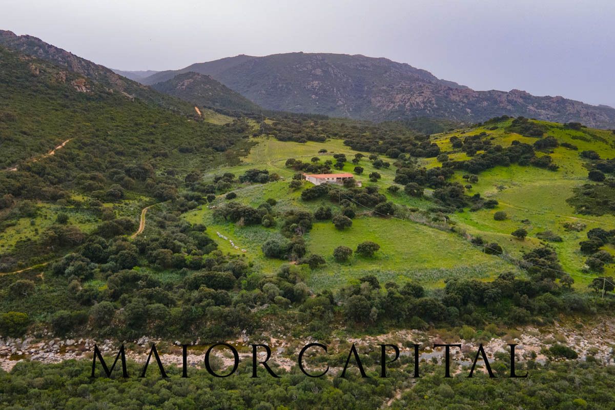 For sale terrain in quiet zone Berchidda Sardegna