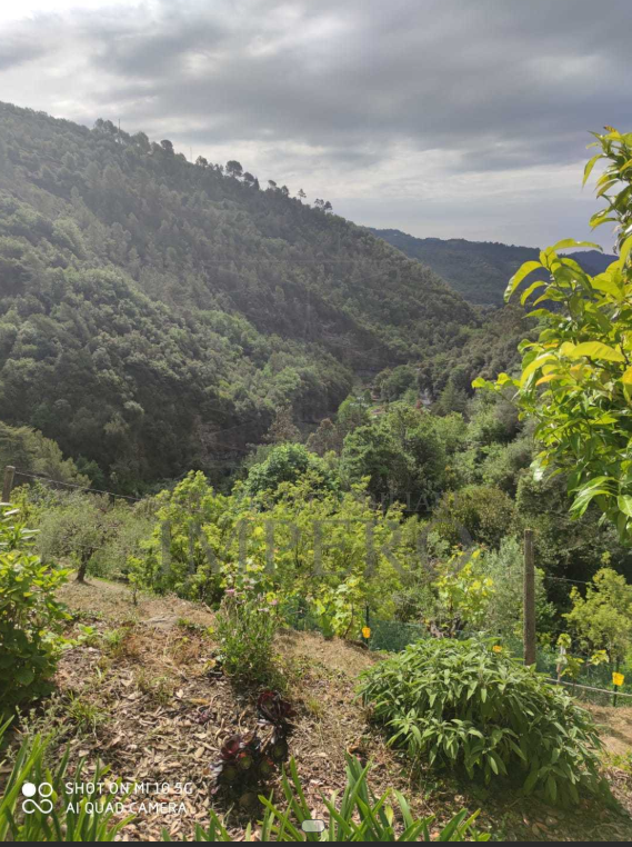 À vendre villa, zone tranquille Dolceacqua Liguria