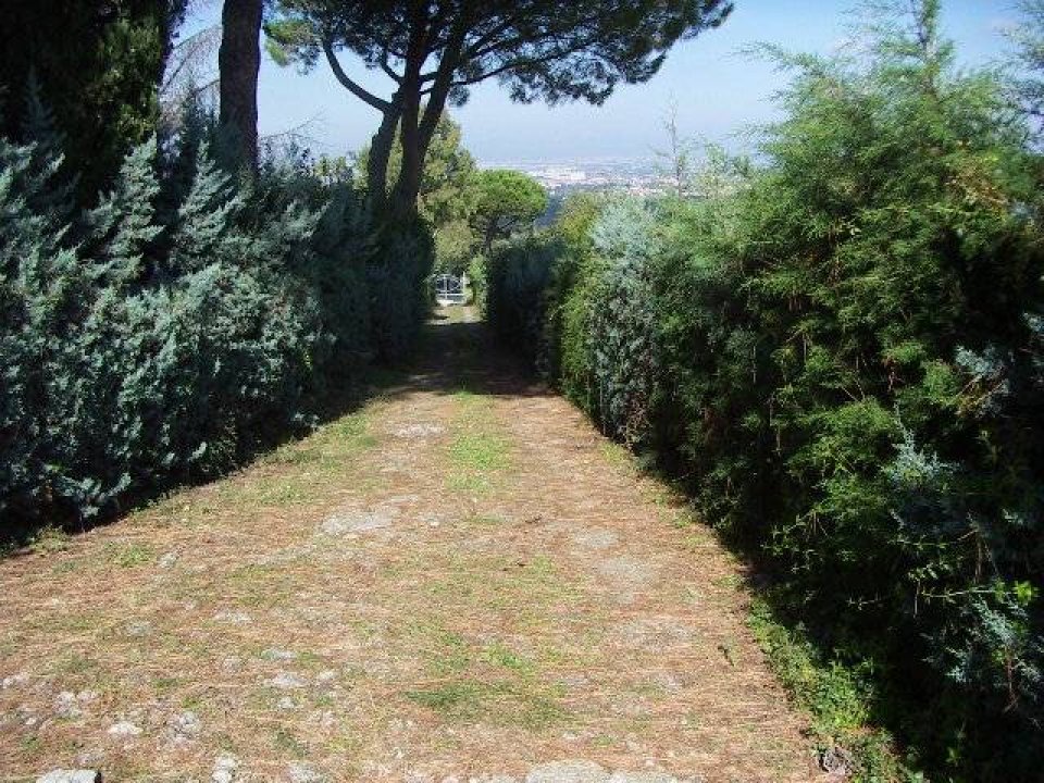 A vendre villa in zone tranquille Frascati Lazio foto 10
