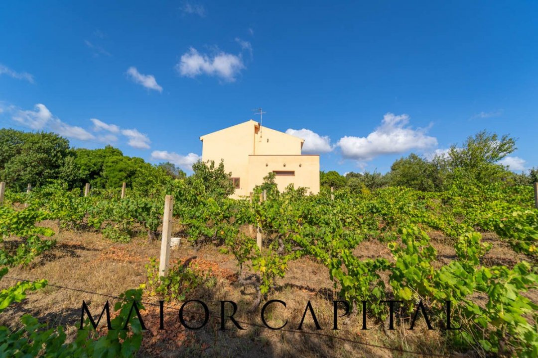 Zu verkaufen villa in ruhiges gebiet Arzachena Sardegna foto 27