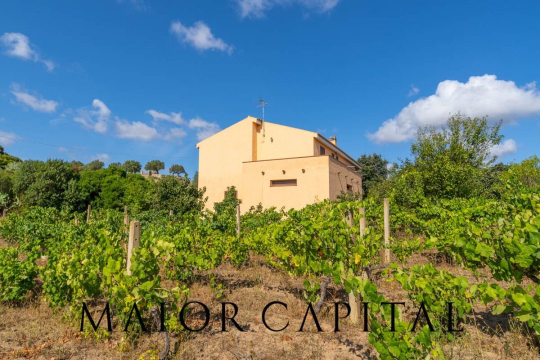 A vendre villa in zone tranquille Arzachena Sardegna foto 4