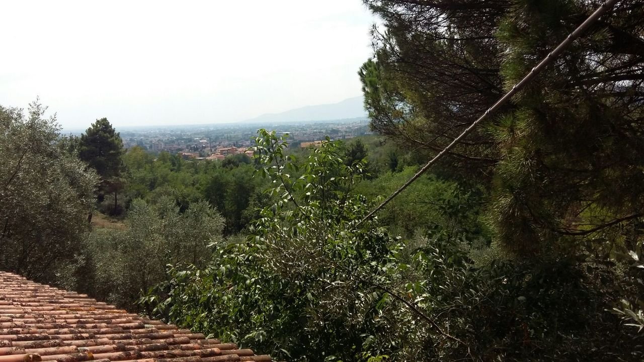 A vendre villa in zone tranquille Montecatini-Terme Toscana foto 11