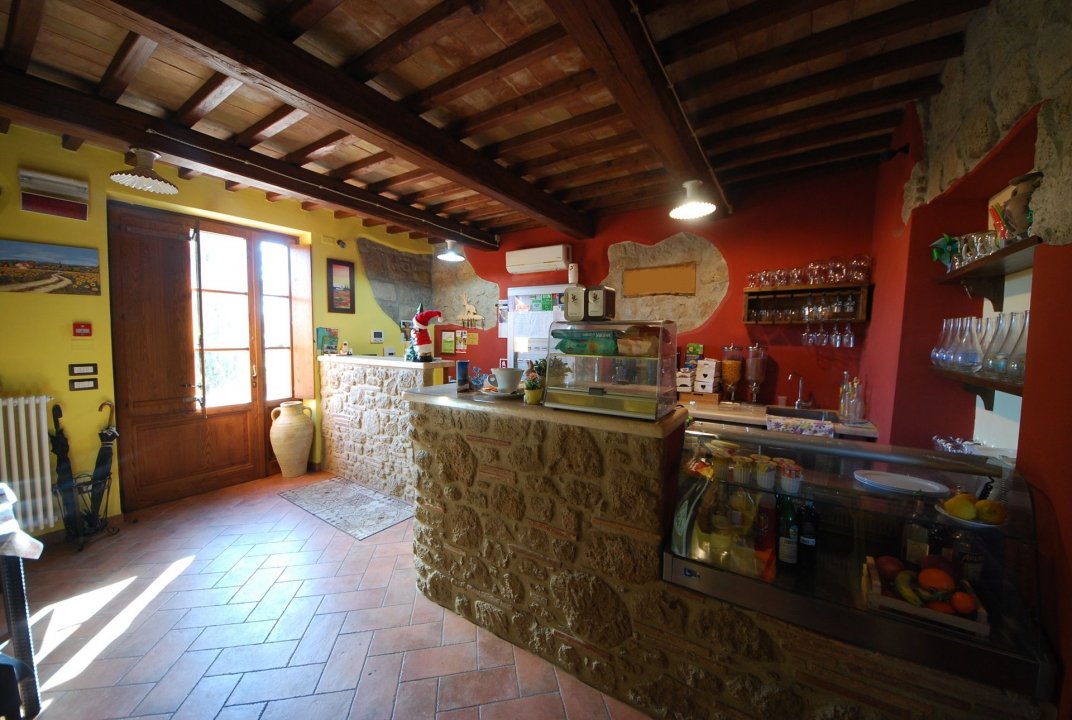 A vendre casale in zone tranquille Pitigliano Toscana foto 5