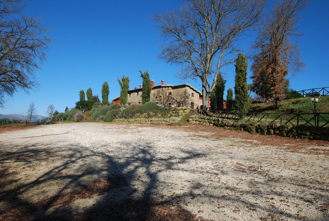 A vendre casale in zone tranquille Pitigliano Toscana foto 17
