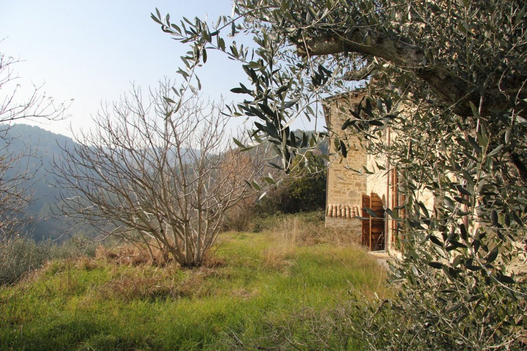 For sale cottage in quiet zone Bevagna Umbria foto 17