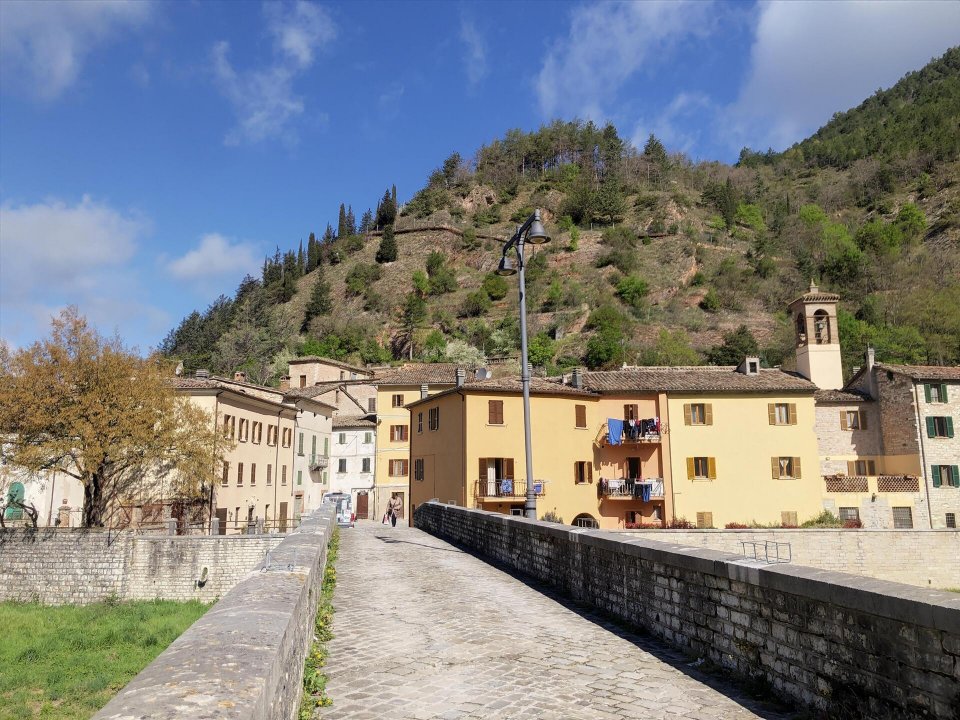 Se vende palacio in montaña Piobbico Marche foto 19