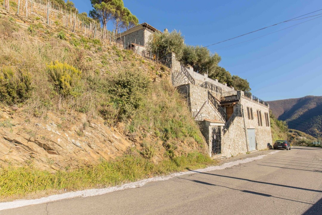 For sale villa by the sea Vernazza Liguria foto 19