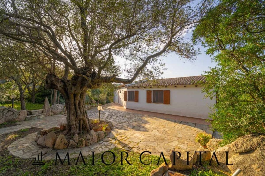 Zu verkaufen villa in ruhiges gebiet Arzachena Sardegna foto 29