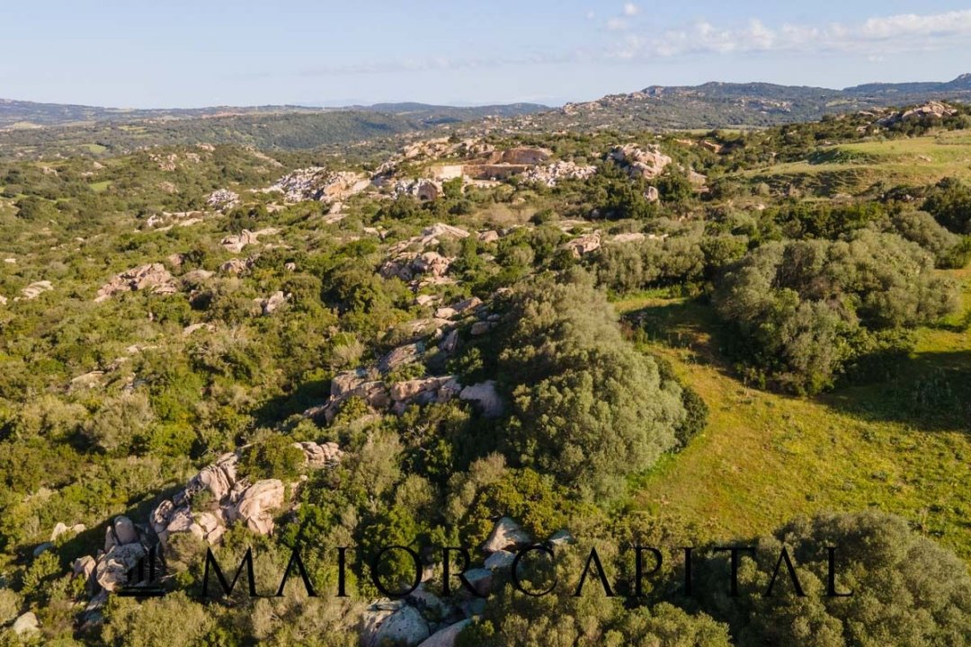 Se vende villa in zona tranquila Arzachena Sardegna foto 25