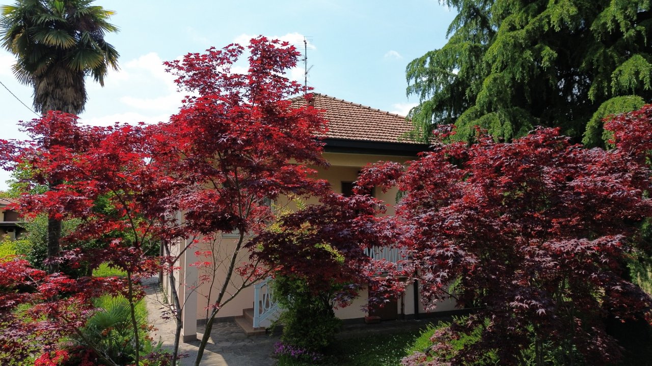 Se vende villa in zona tranquila Bernareggio Lombardia foto 15
