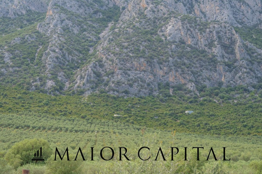 Se vende terreno in montaña Siniscola Sardegna foto 42