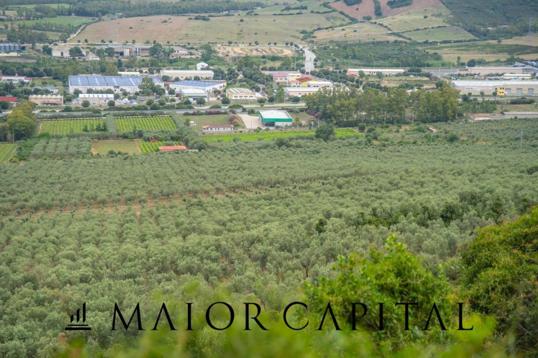 Se vende terreno in montaña Siniscola Sardegna foto 41