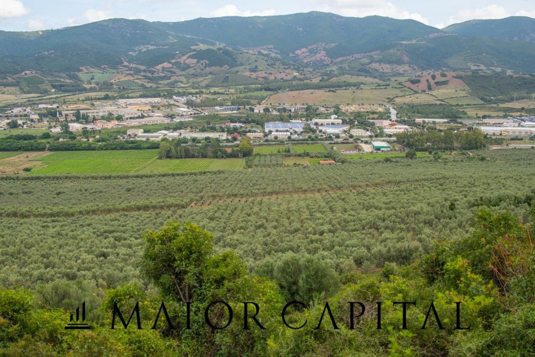 Se vende terreno in montaña Siniscola Sardegna foto 43