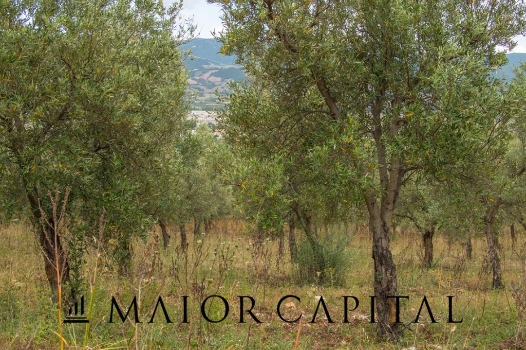 Se vende terreno in montaña Siniscola Sardegna foto 50