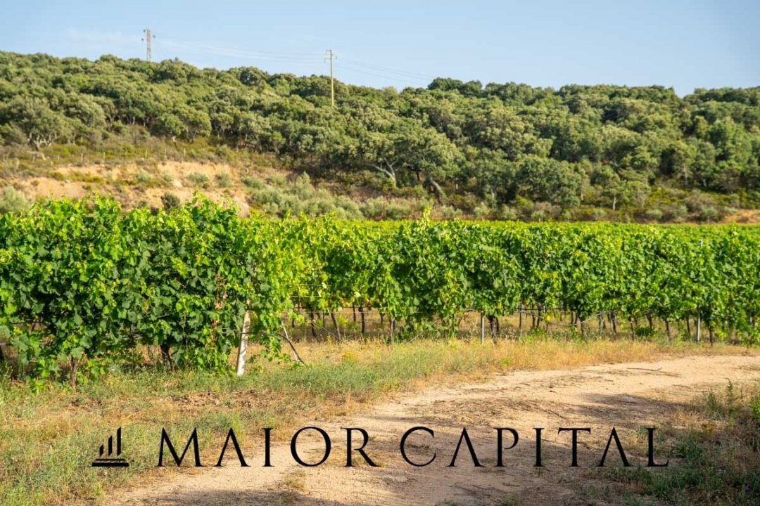 Para venda terreno in zona tranquila Sant´Antonio di Gallura Sardegna foto 21