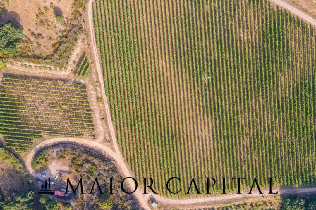 A vendre terre in zone tranquille Sant´Antonio di Gallura Sardegna foto 22
