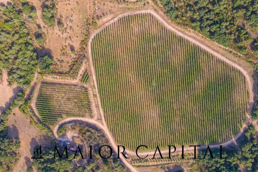 Se vende terreno in zona tranquila Sant´Antonio di Gallura Sardegna foto 24