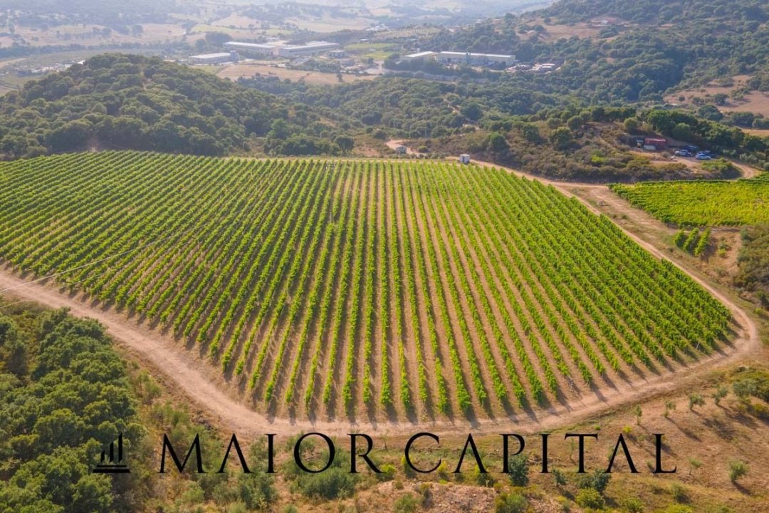Para venda terreno in zona tranquila Sant´Antonio di Gallura Sardegna foto 6