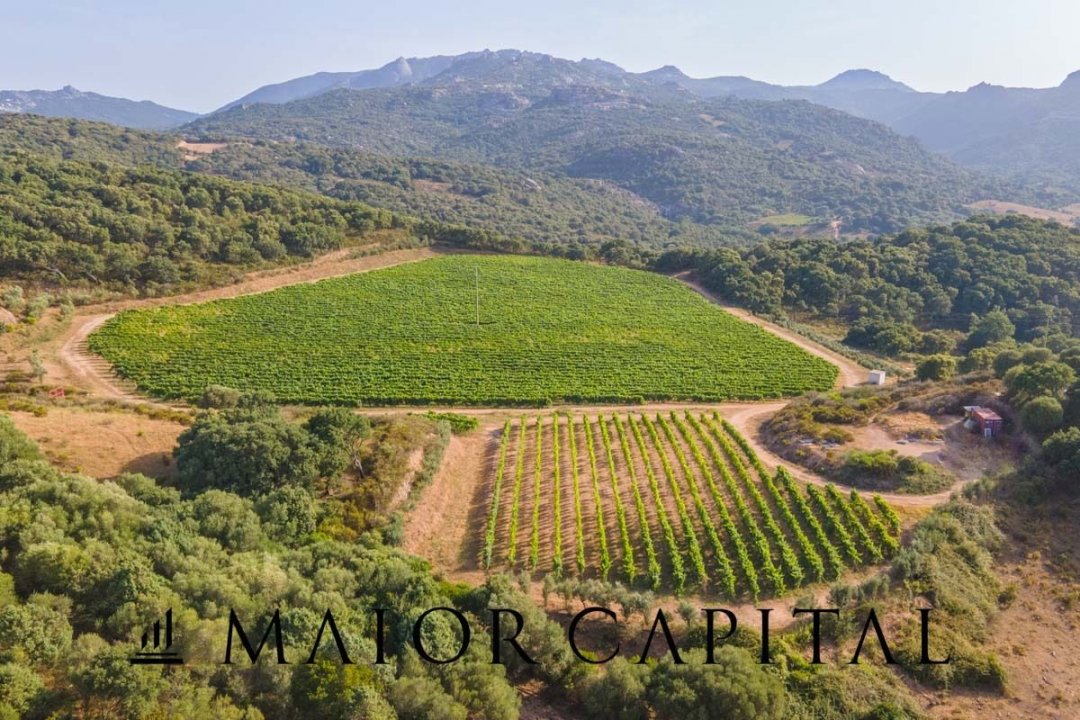 Se vende terreno in zona tranquila Sant´Antonio di Gallura Sardegna foto 9