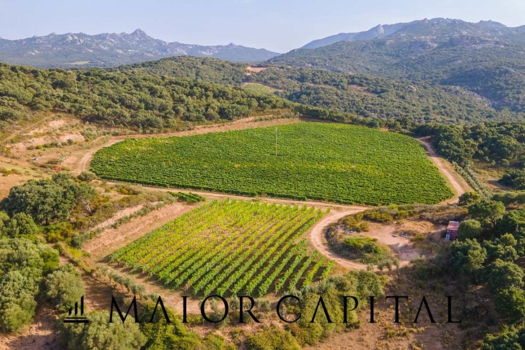 Para venda terreno in zona tranquila Sant´Antonio di Gallura Sardegna foto 10