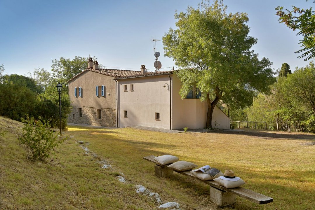For sale cottage in quiet zone Guardistallo Toscana foto 4