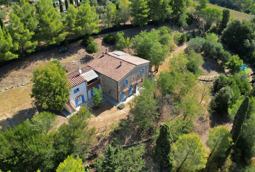 For sale cottage in quiet zone Guardistallo Toscana foto 1