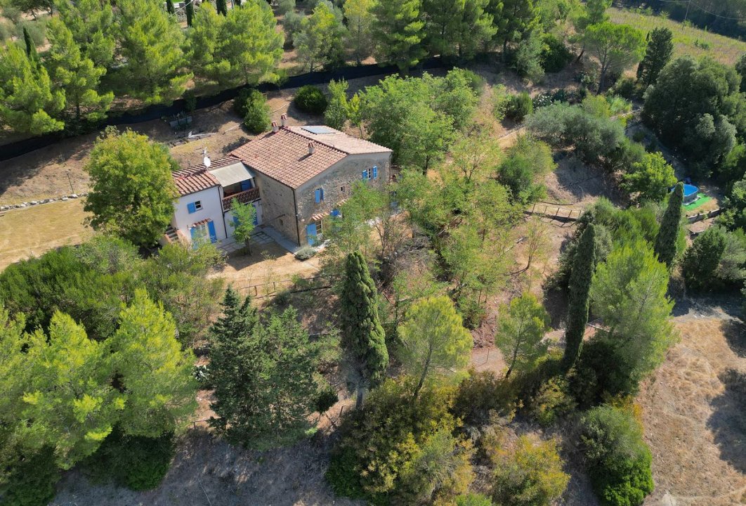For sale cottage in quiet zone Guardistallo Toscana foto 32