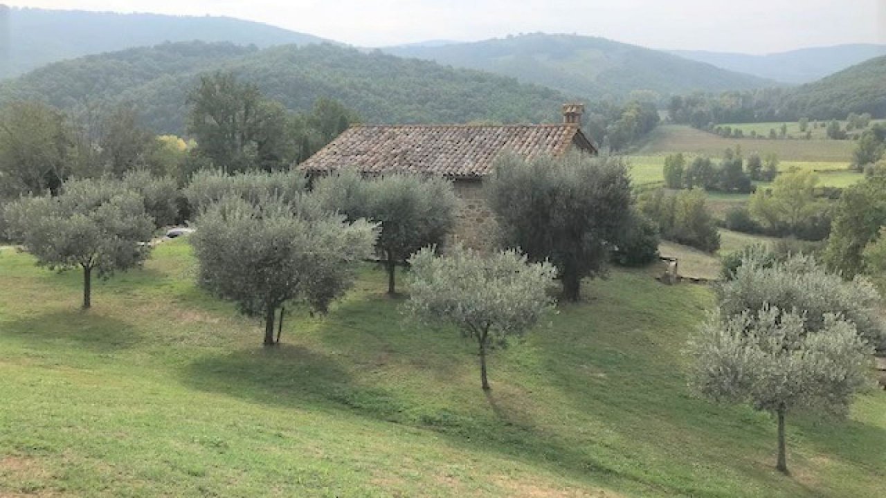 A vendre villa in  Lisciano Niccone Umbria foto 9
