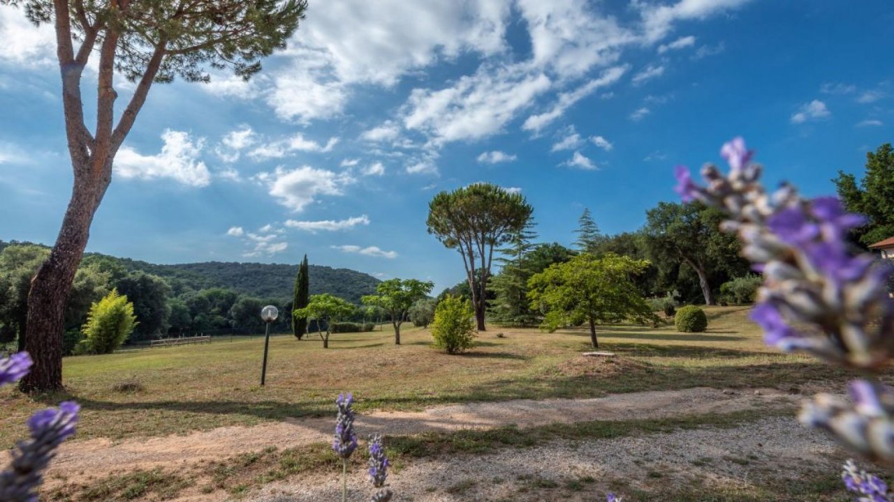 For sale cottage in  Roccastrada Toscana foto 14