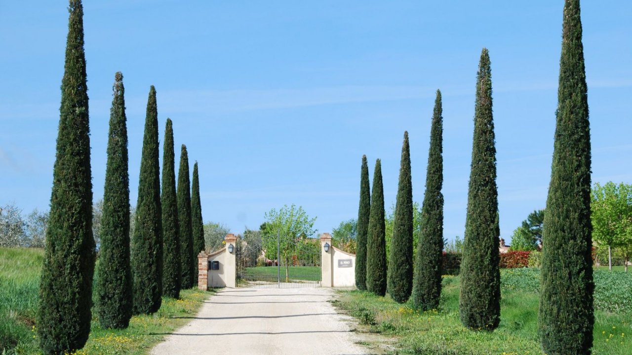 Se vende villa in  Cortona Toscana foto 17