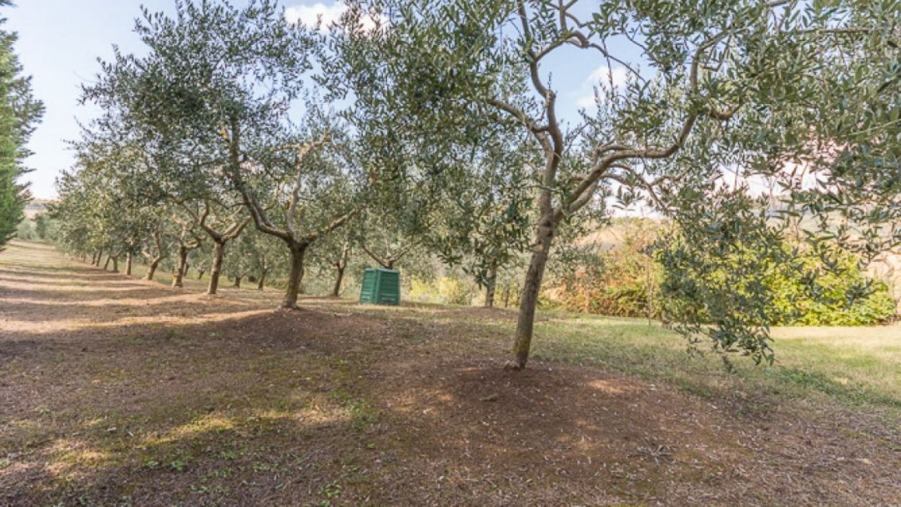 For sale cottage in  Montepulciano Toscana foto 9