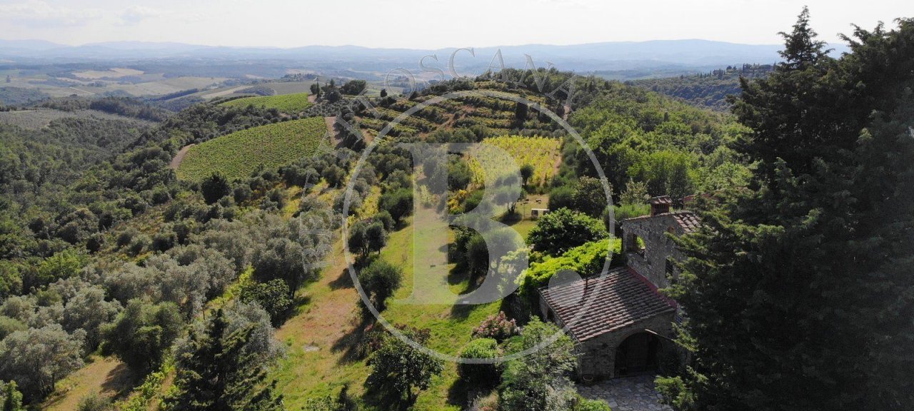 For sale cottage in quiet zone Castellina in Chianti Toscana foto 22