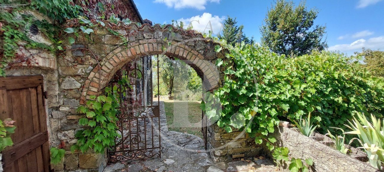 For sale cottage in quiet zone Castellina in Chianti Toscana foto 8