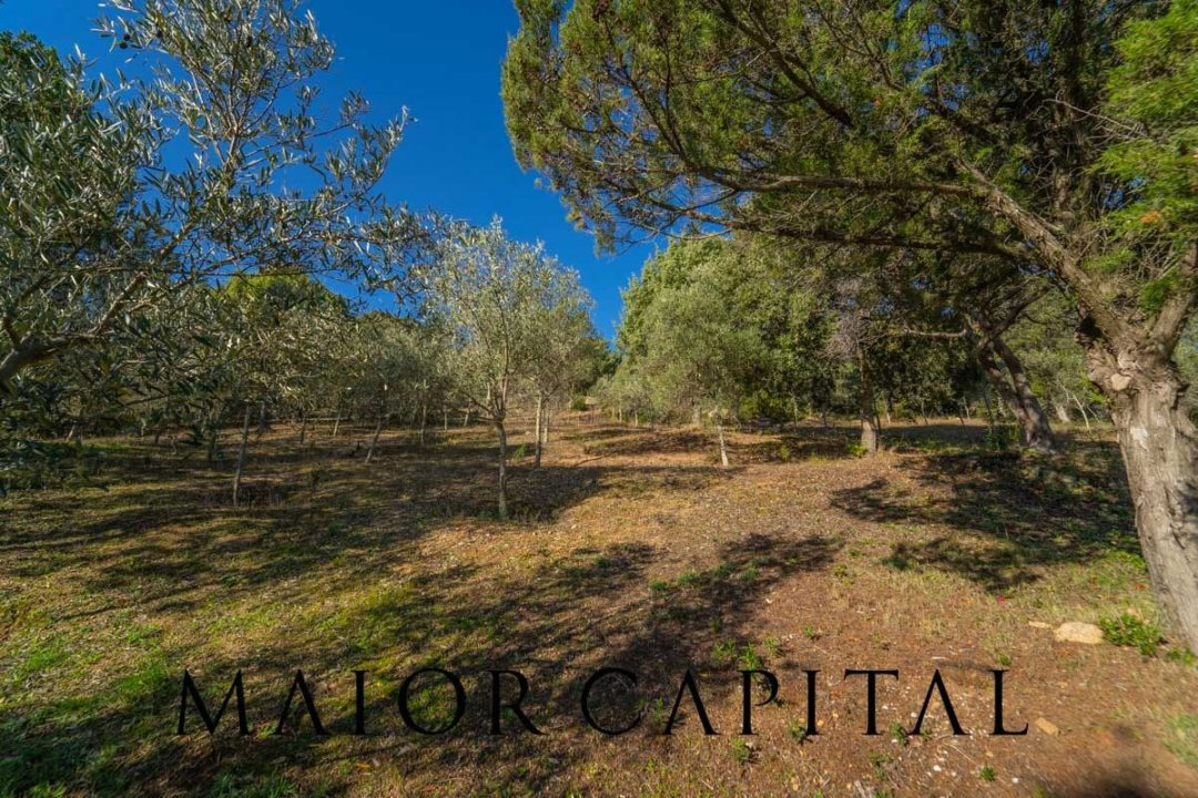 A vendre villa in zone tranquille Arzachena Sardegna foto 52