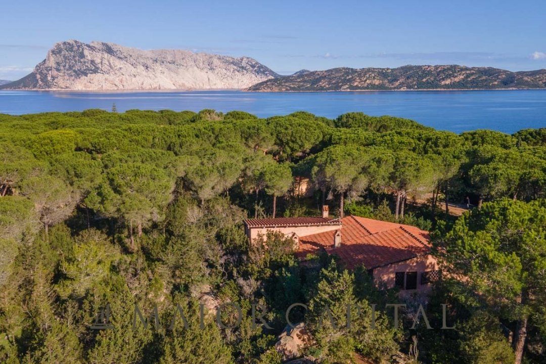 Zu verkaufen villa by the meer San Teodoro Sardegna foto 1