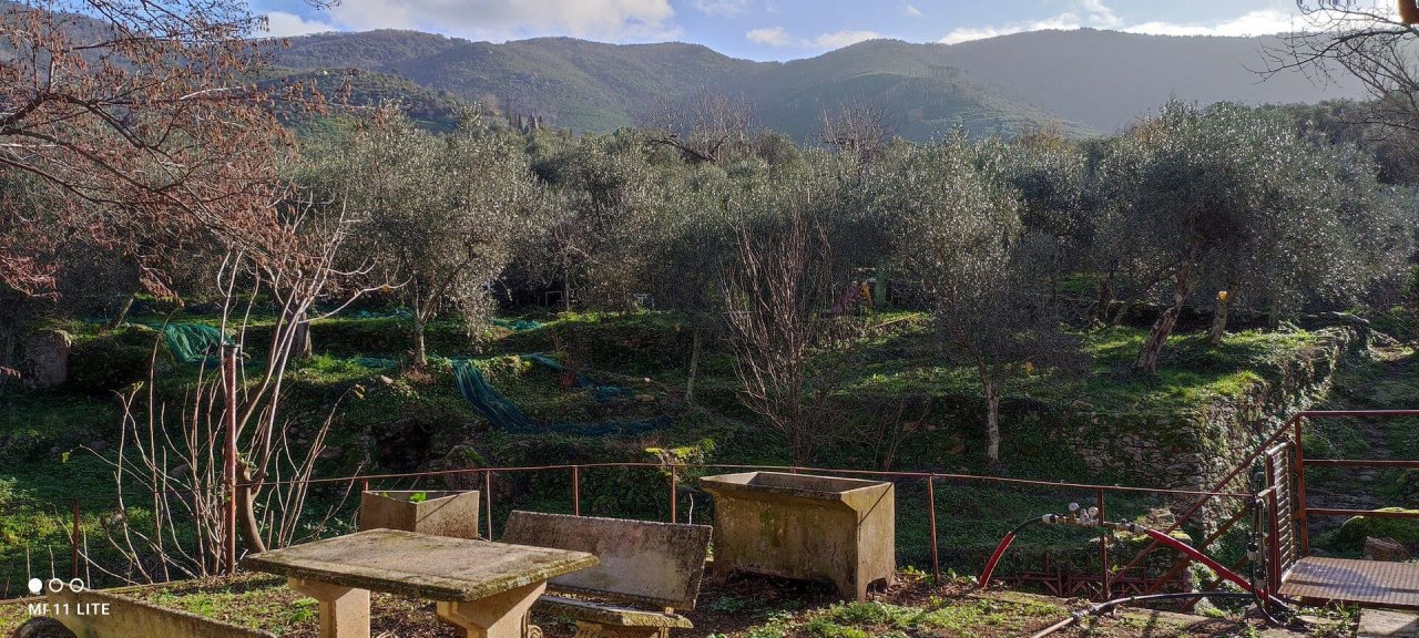 Para venda tectos in zona tranquila Calci Toscana foto 1