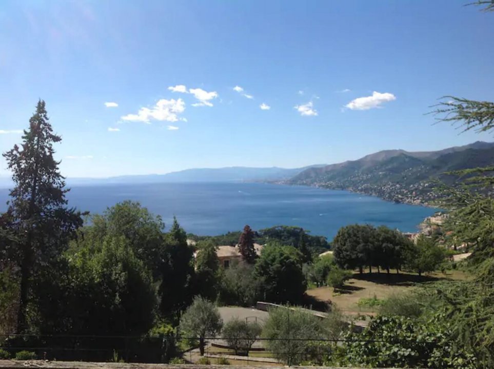 Location courte villa by the mer Camogli Liguria foto 3