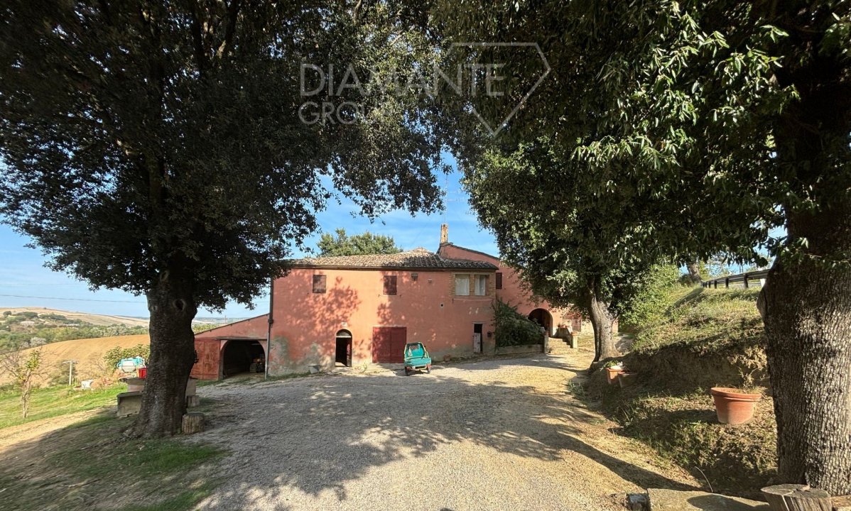 A vendre casale in zone tranquille Montalcino Toscana foto 1