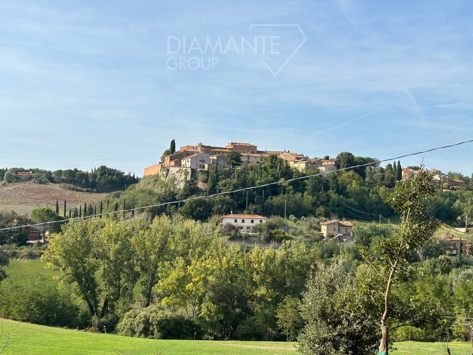 A vendre casale in zone tranquille Montalcino Toscana foto 12