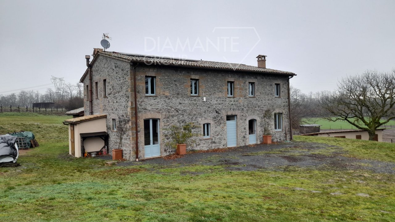 A vendre casale in zone tranquille Castel Giorgio Umbria foto 27