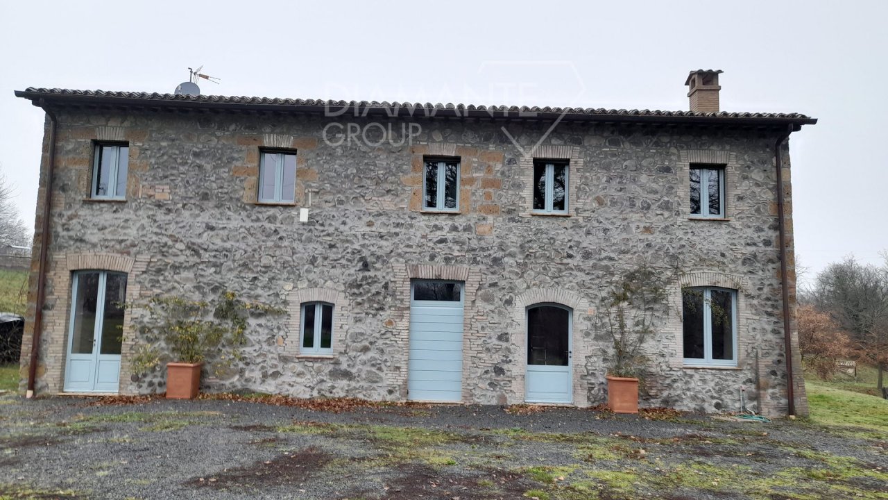 A vendre casale in zone tranquille Castel Giorgio Umbria foto 28