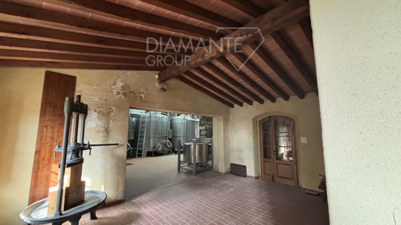 For sale attività commerciale in quiet zone Castellina in Chianti Toscana foto 10