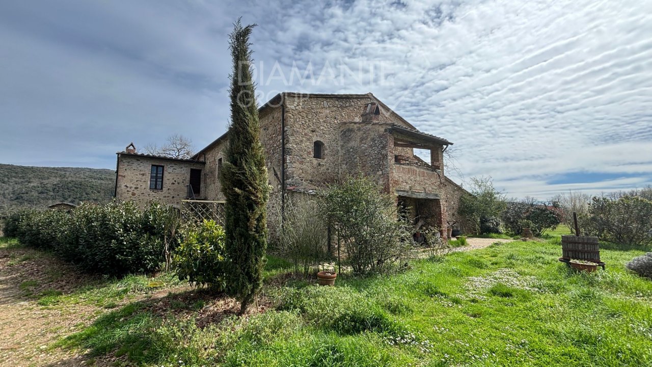 Para venda casale in zona tranquila Civitella Paganico Toscana foto 53