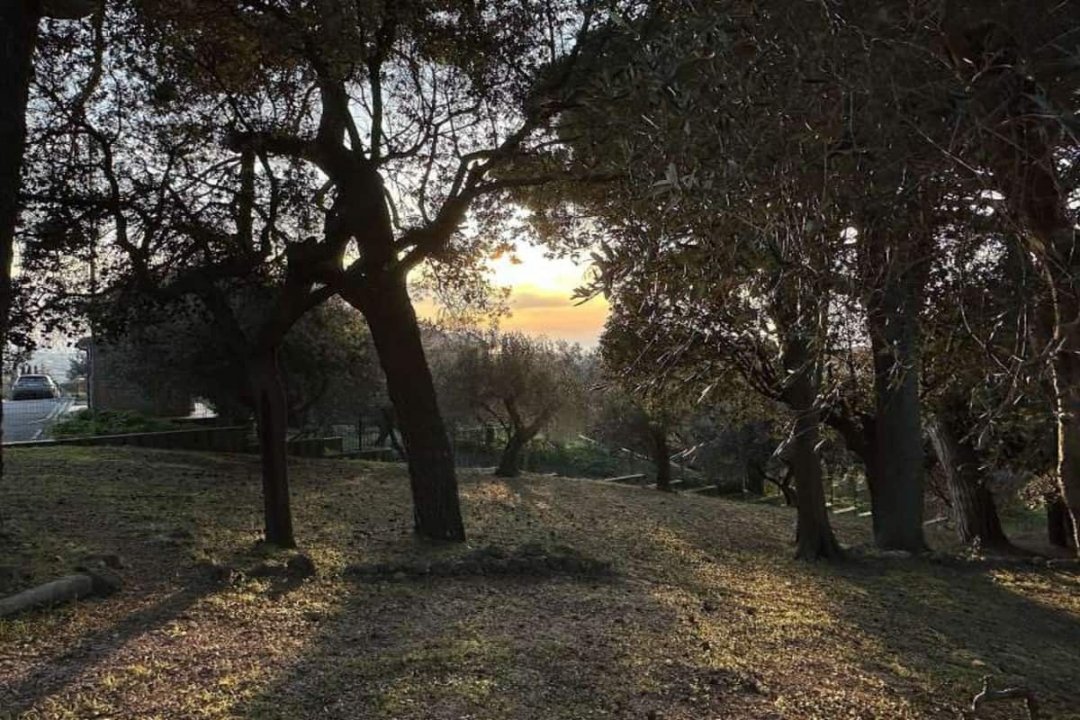 Para venda moradia in zona tranquila Rosignano Marittimo Toscana foto 2