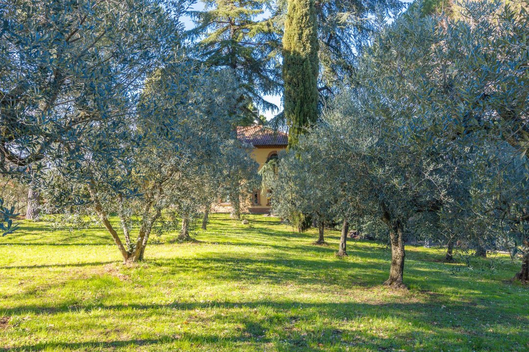 Se vende villa in zona tranquila Frascati Lazio foto 13