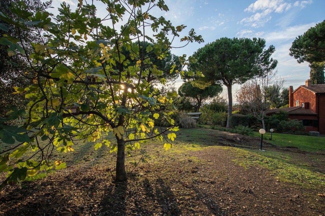 A vendre villa in zone tranquille Campiglia Marittima Toscana foto 13