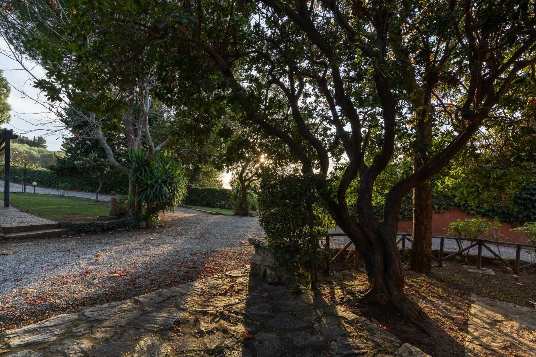 Zu verkaufen villa in ruhiges gebiet Campiglia Marittima Toscana foto 15